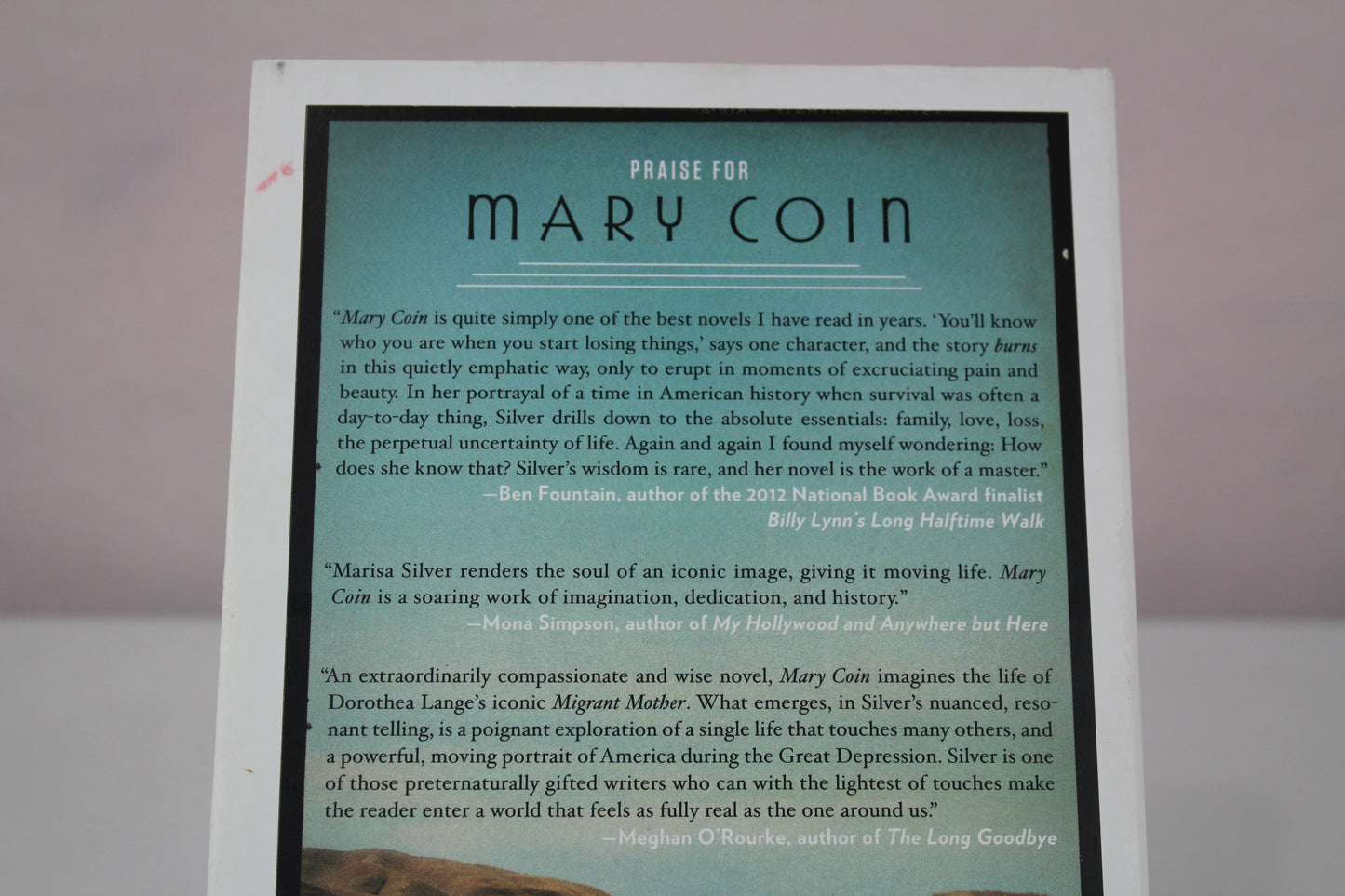 Mary Coin by Marisa Silver