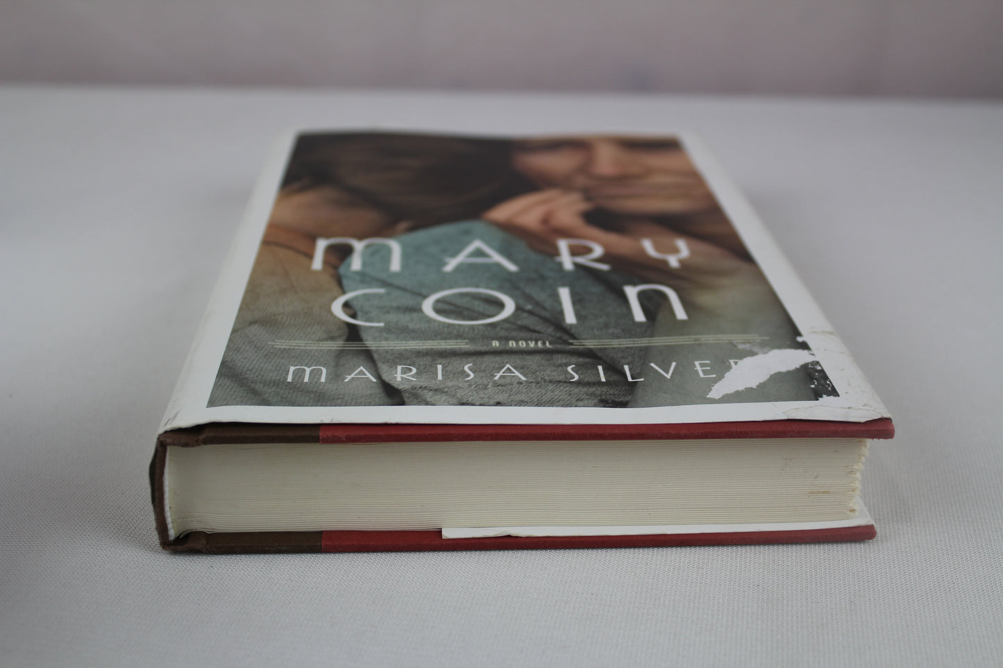 Mary Coin by Marisa Silver