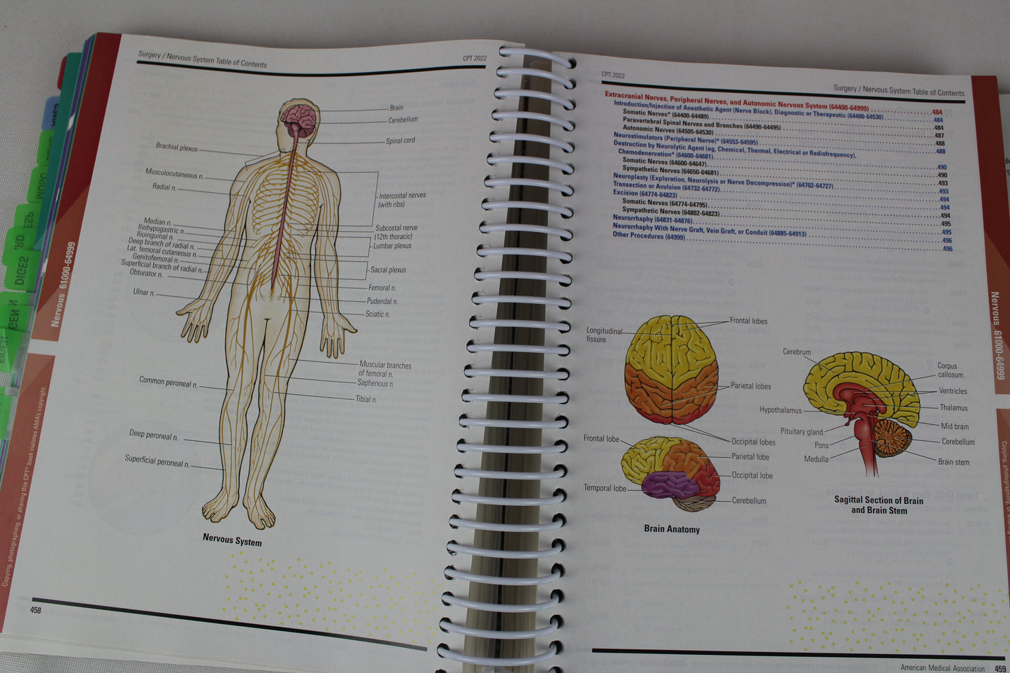 CPT 2022: Professional Edition by American Medical Association
