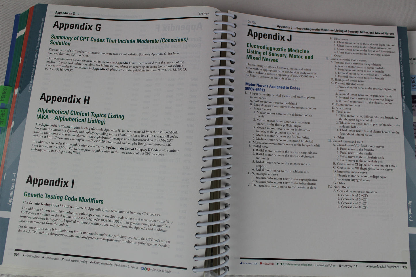 CPT 2022: Professional Edition by American Medical Association