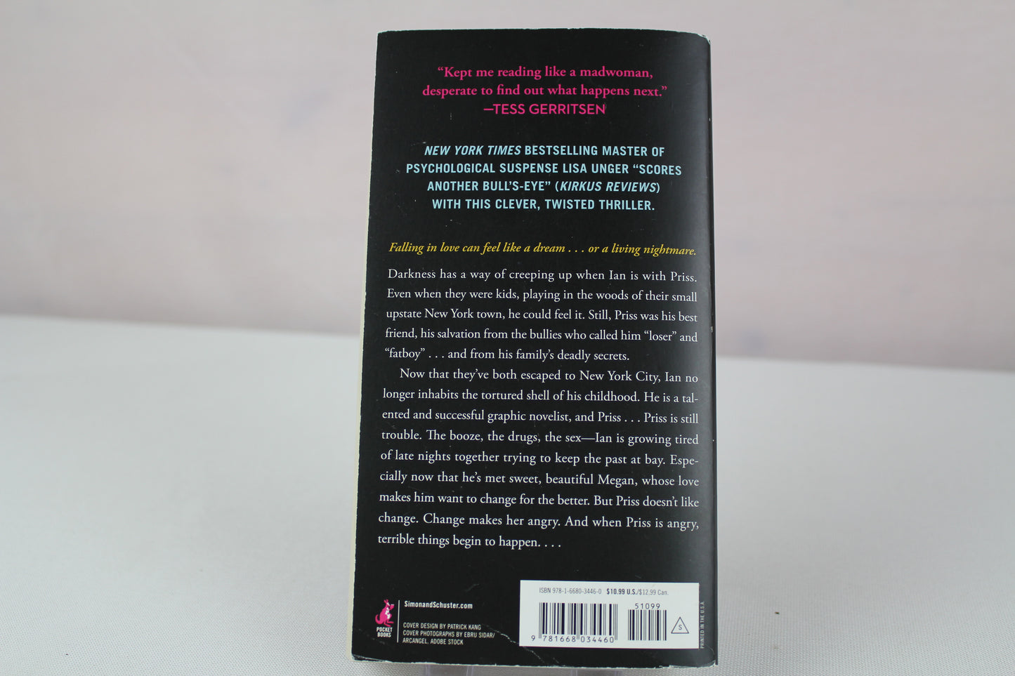 Crazy Love You: A Novel by Lisa Unger