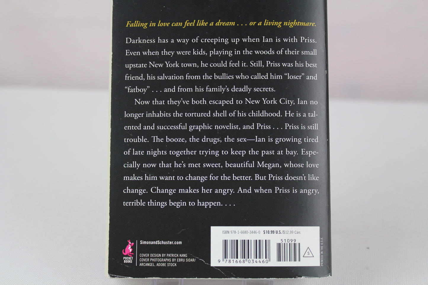 Crazy Love You: A Novel by Lisa Unger