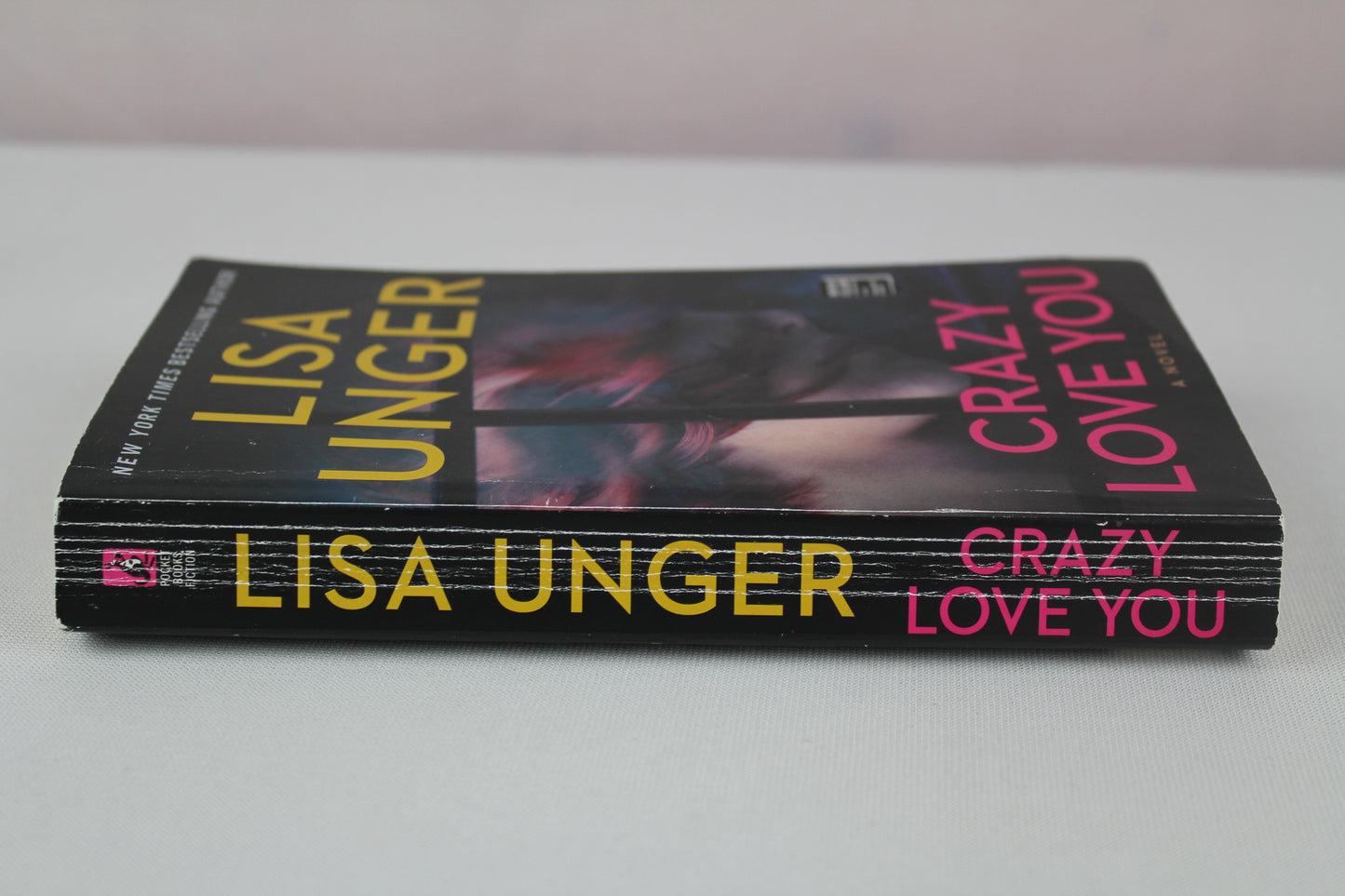 Crazy Love You: A Novel by Lisa Unger