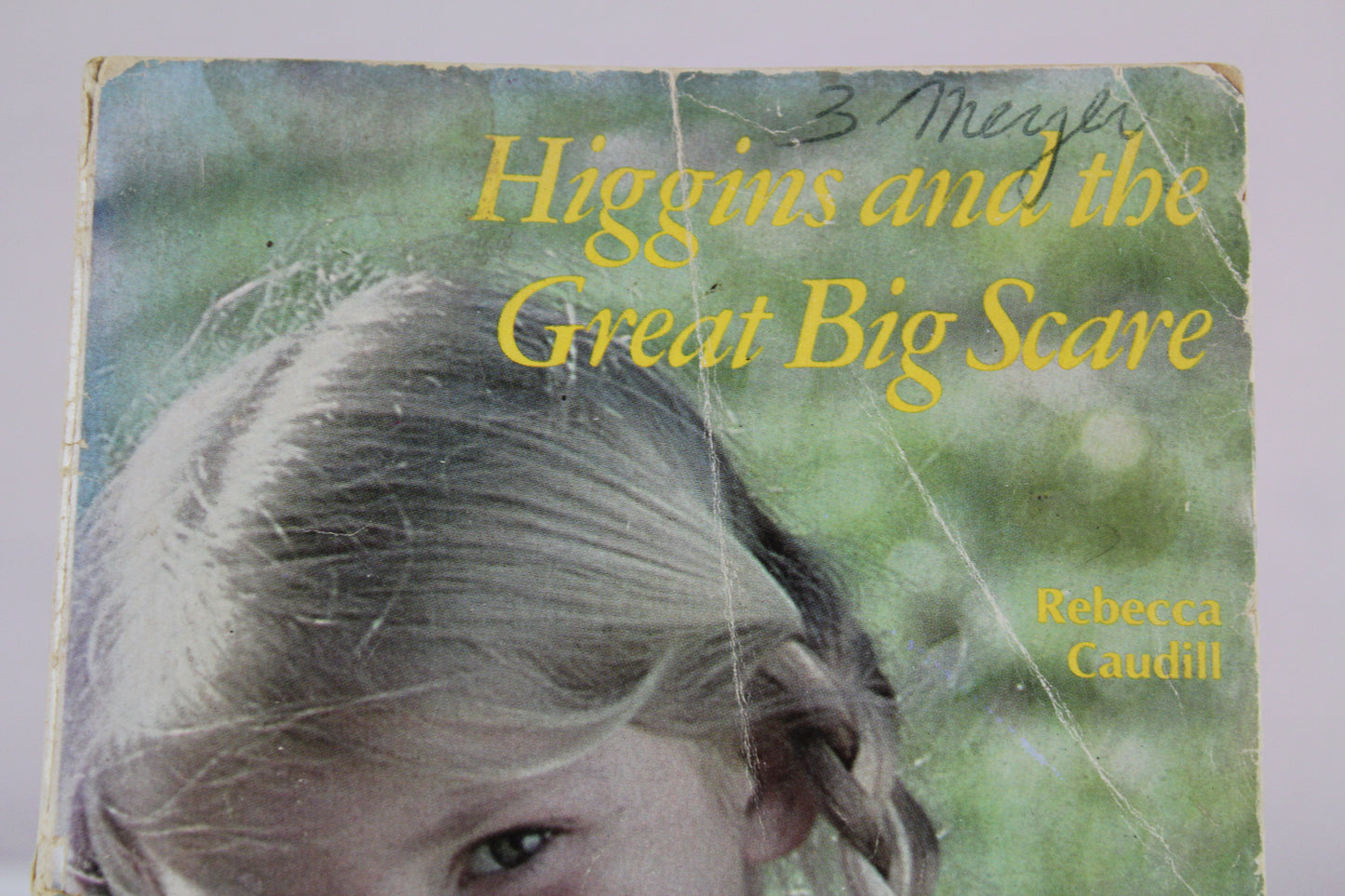 Higgins and the Great Big Scare by Rebecca Caudill