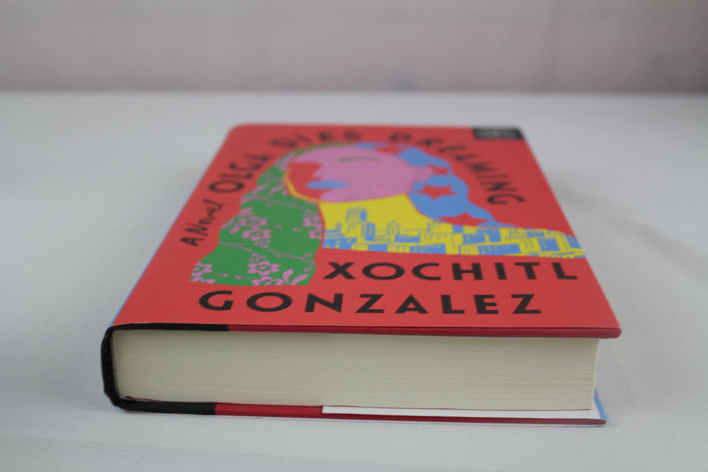 Olga Dies Dreaming: A Novel by Xochitl Gonzalez