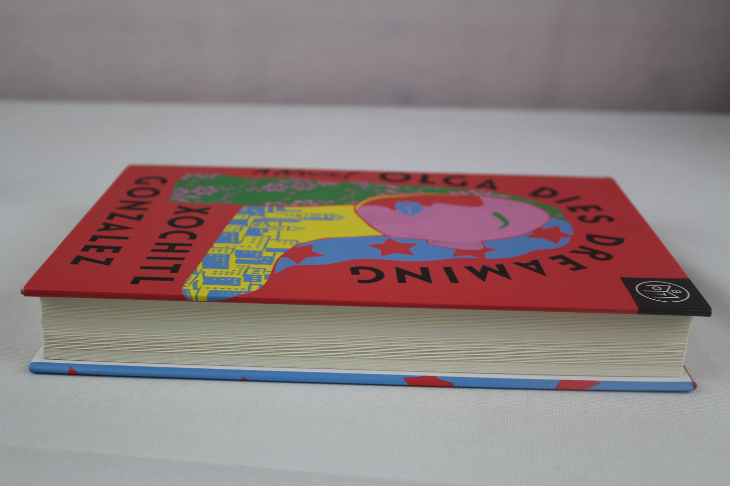Olga Dies Dreaming: A Novel by Xochitl Gonzalez