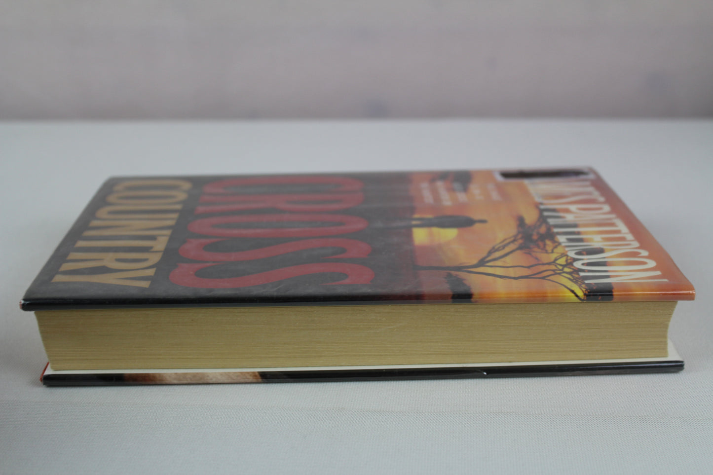 Cross Country (Alex Cross, 14) by James Patterson