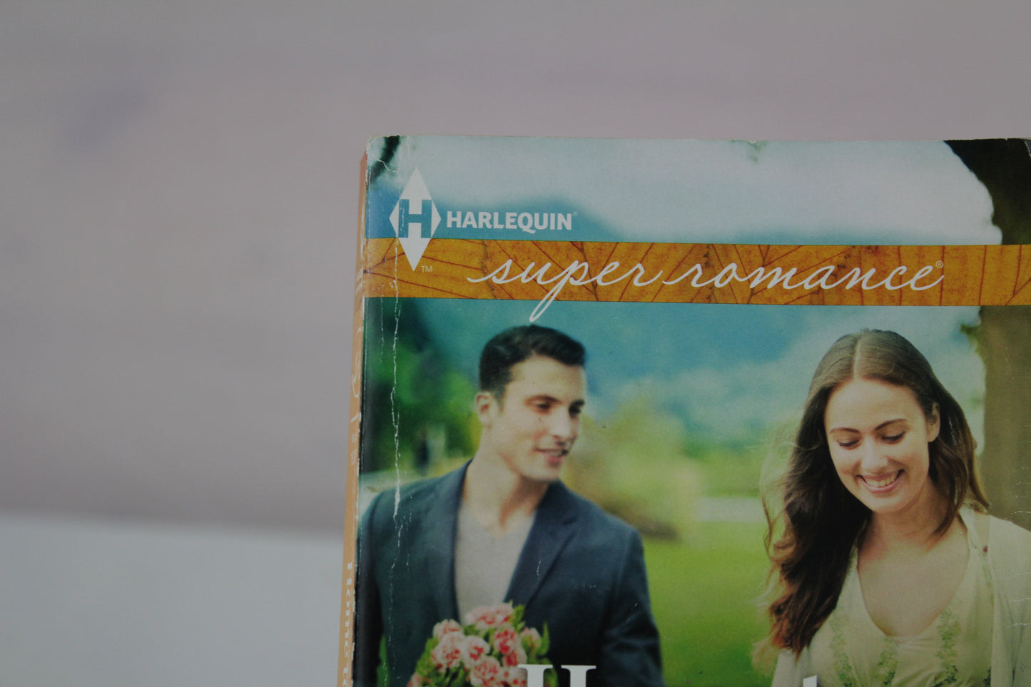 Home to Laura by Mary Sullivan