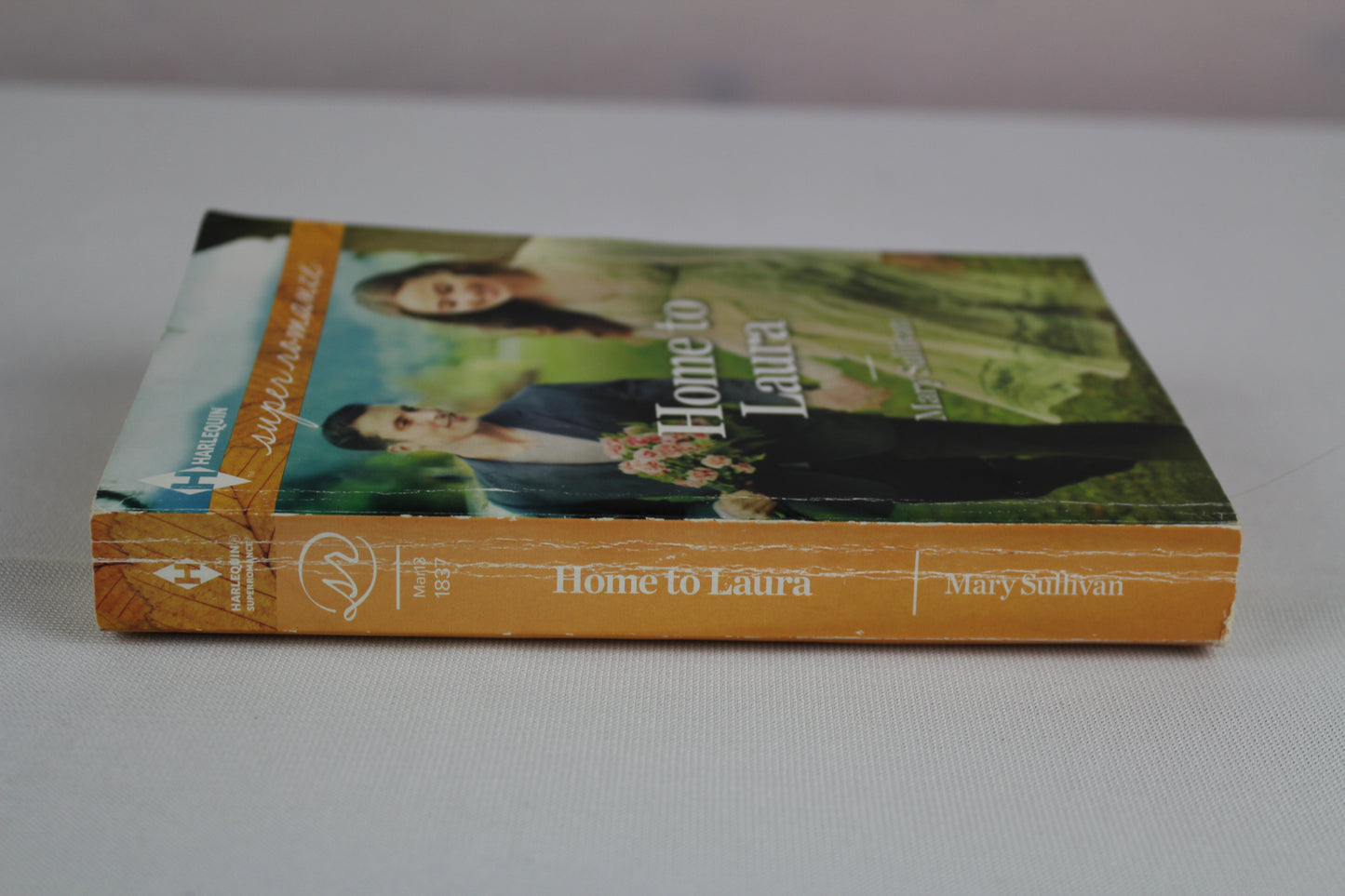 Home to Laura by Mary Sullivan