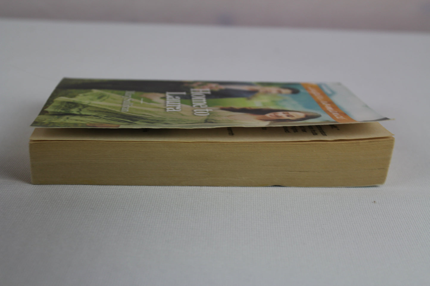 Home to Laura by Mary Sullivan