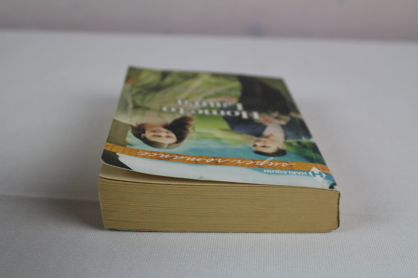 Home to Laura by Mary Sullivan