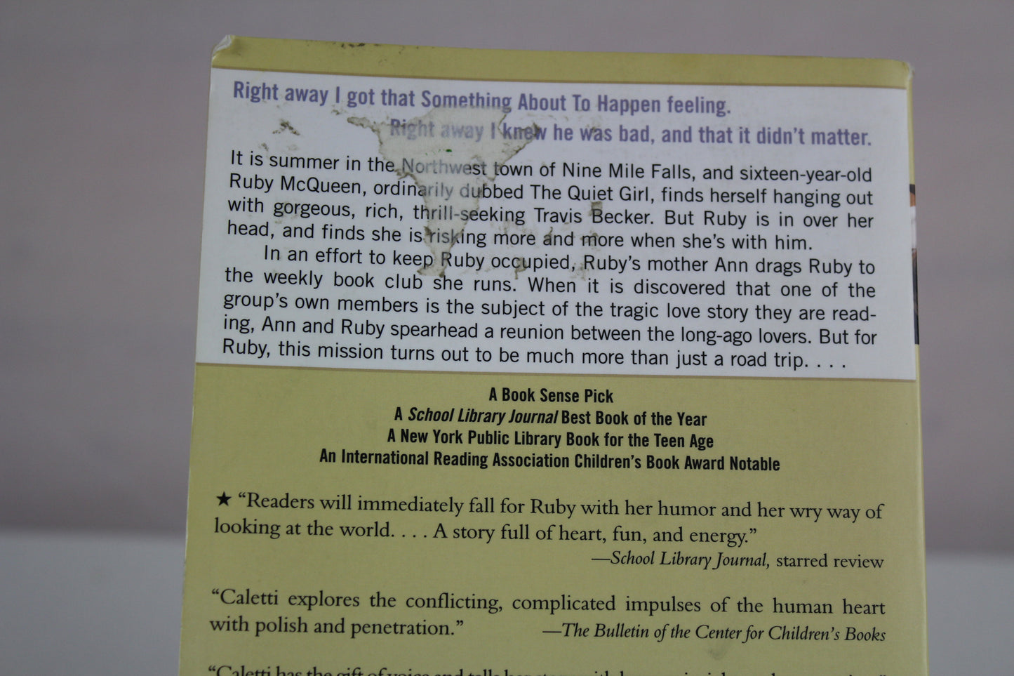 Honey, Baby, Sweetheart by Deb Caletti
