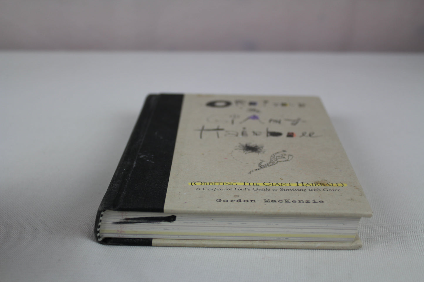 Orbiting the Giant Hairball: A Corporate Fool's Guide to Surviving with Grace by Gordon MacKenzie