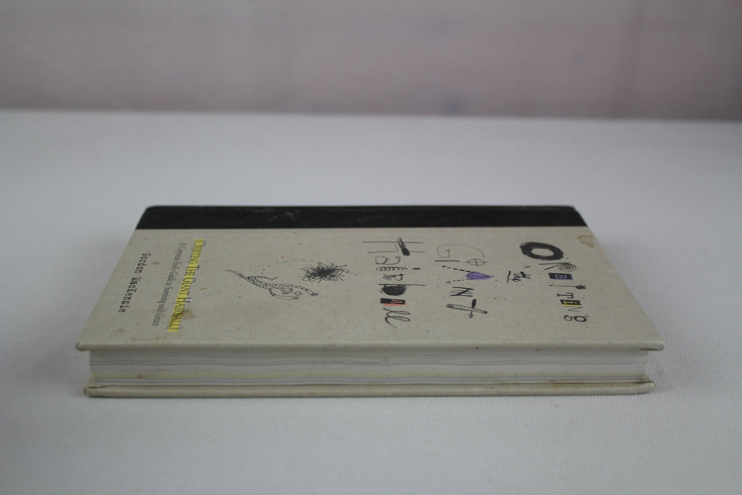 Orbiting the Giant Hairball: A Corporate Fool's Guide to Surviving with Grace by Gordon MacKenzie