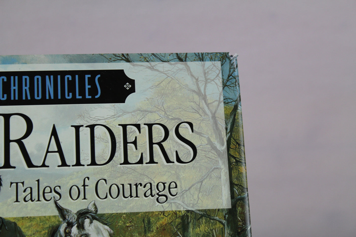 Daring Raiders (Civil War Chronicles) by David L. Phillips