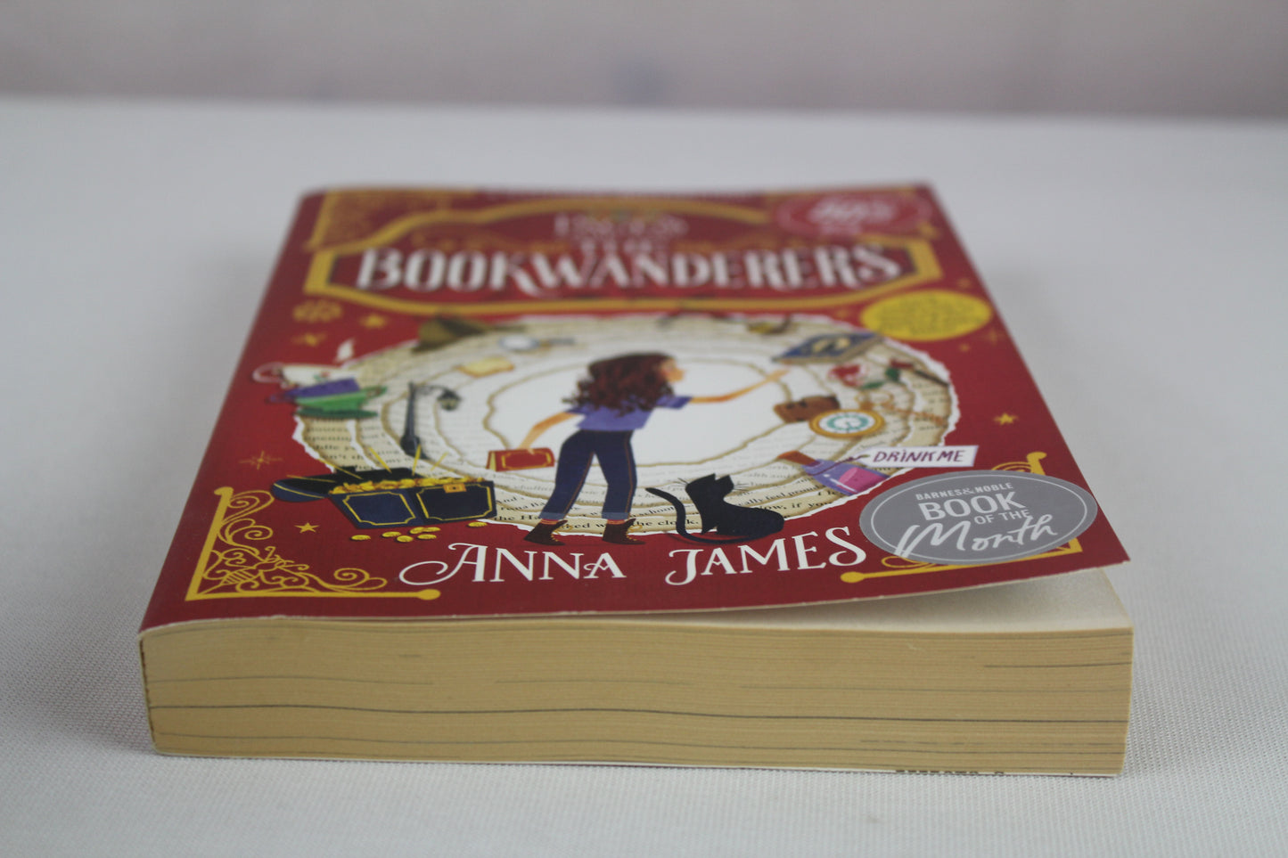 Pages & Co.: The Bookwanderers by Anna James, Paola Escobar