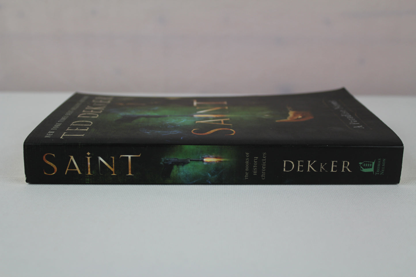 Saint: A Paradise Novel (The Books of History Chronicles) by Ted Dekker