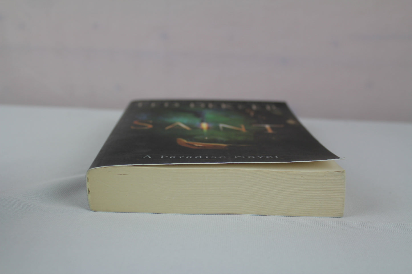 Saint: A Paradise Novel (The Books of History Chronicles) by Ted Dekker