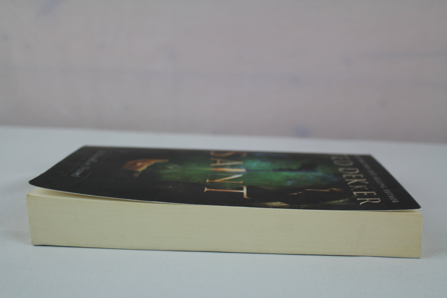 Saint: A Paradise Novel (The Books of History Chronicles) by Ted Dekker