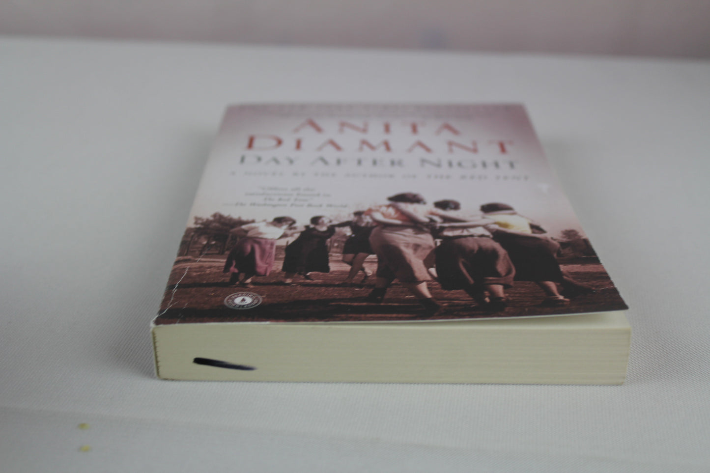 Day After Night: A Novel (Bestselling Historical Fiction) by Anita Diamant