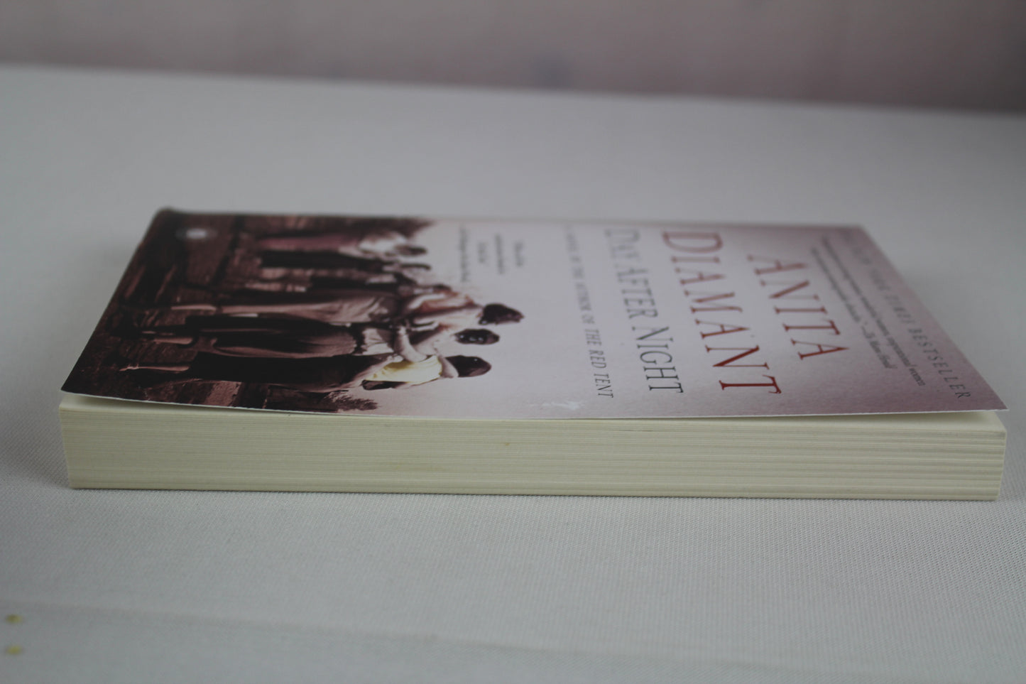 Day After Night: A Novel (Bestselling Historical Fiction) by Anita Diamant