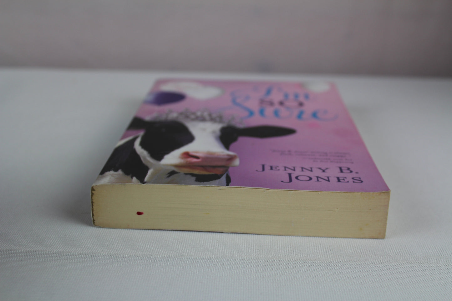 I'm So Sure by Jenny B. Jones