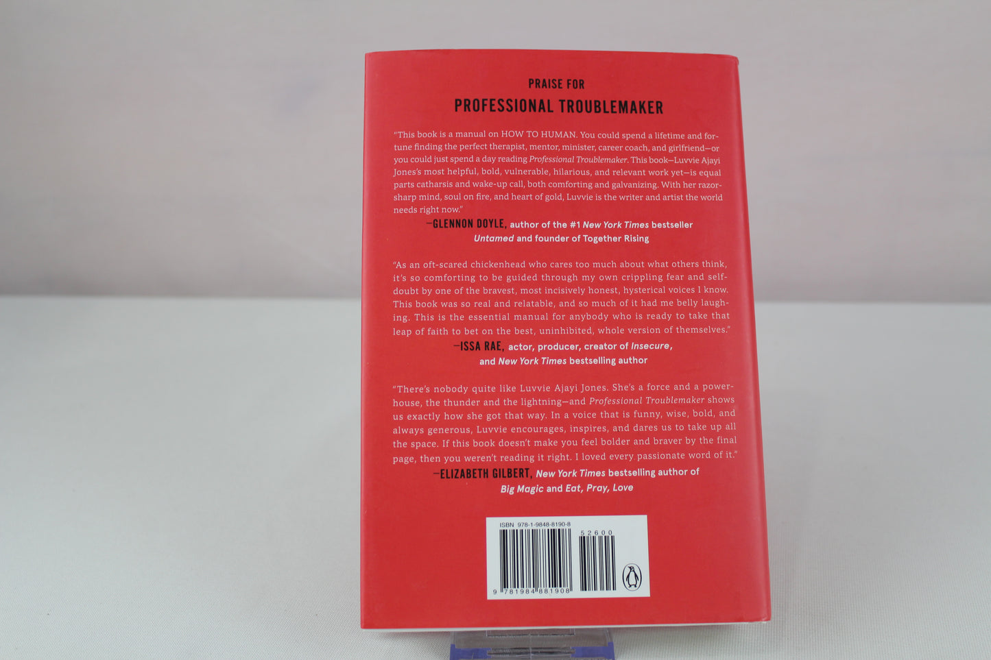 Professional Troublemaker: The Fear-Fighter Manual by Luvvie Ajayi Jones
