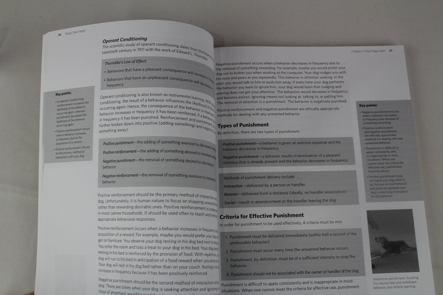 Puppy Start Right: Foundation Training for the Companion Dog by Kenneth M. Martin, Debbie Martin