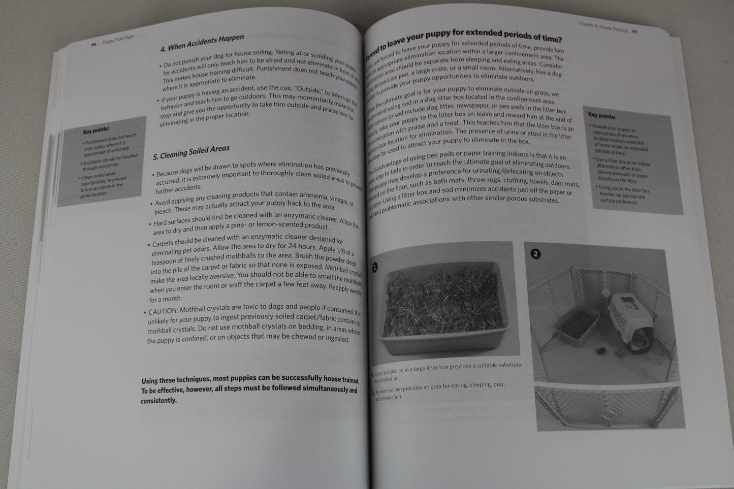 Puppy Start Right: Foundation Training for the Companion Dog by Kenneth M. Martin, Debbie Martin