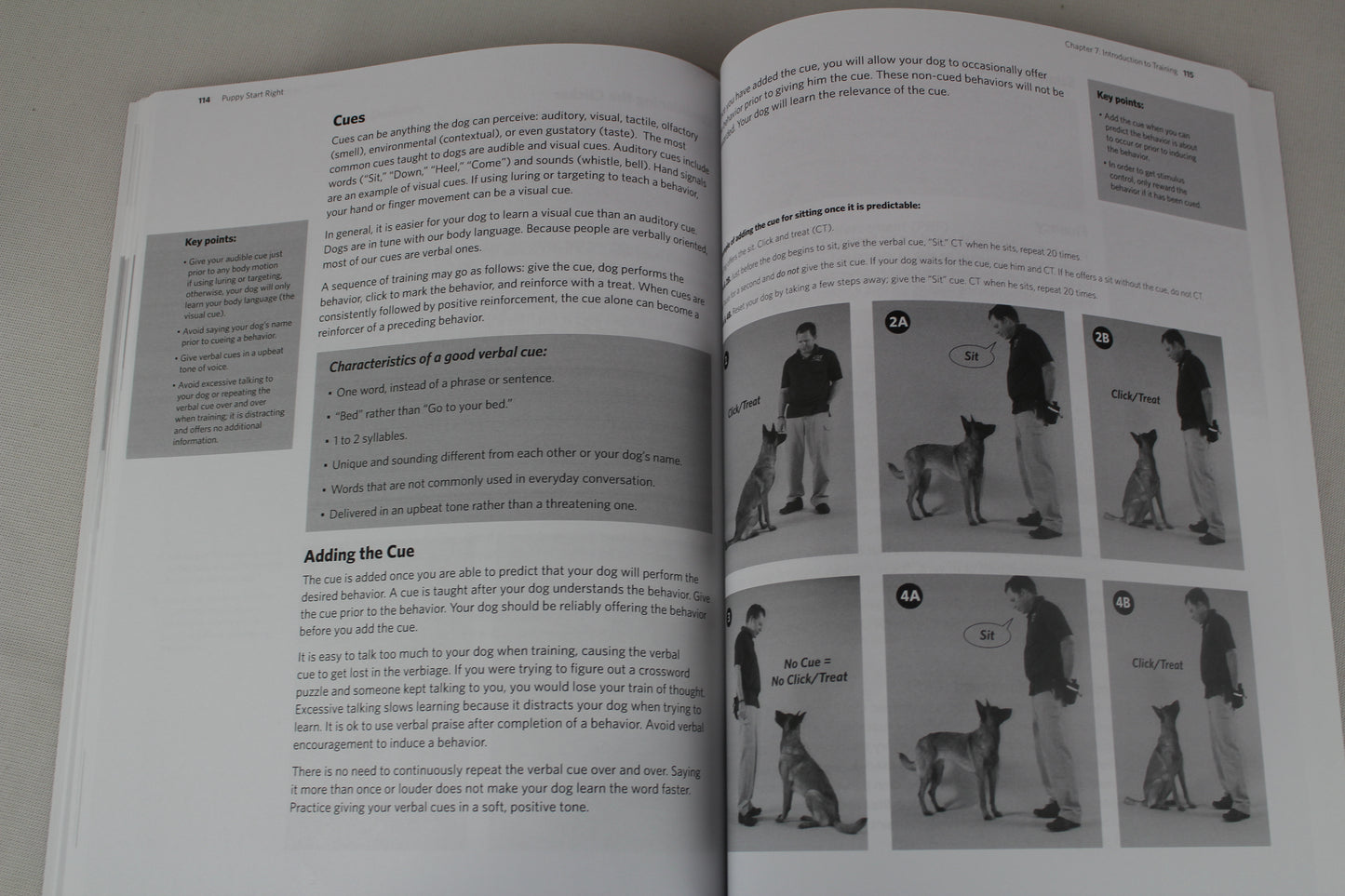 Puppy Start Right: Foundation Training for the Companion Dog by Kenneth M. Martin, Debbie Martin