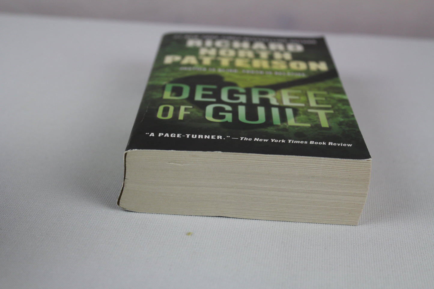Degree of Guilt by Richard North Patterson