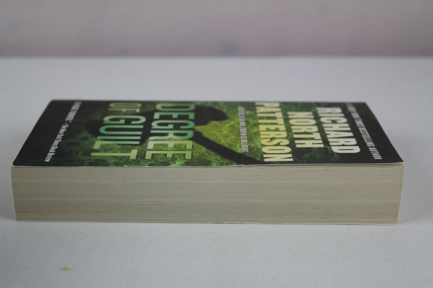 Degree of Guilt by Richard North Patterson