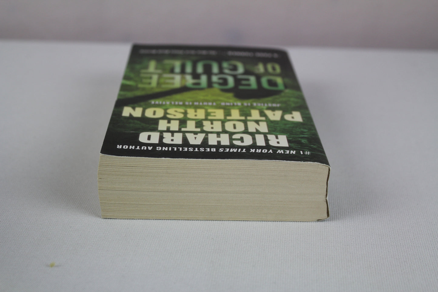 Degree of Guilt by Richard North Patterson