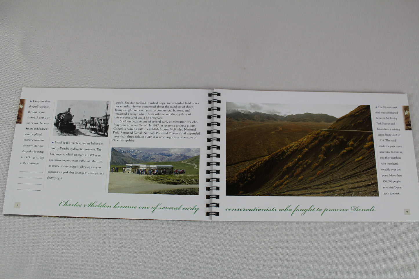 Denali: A Living Tapestry (A Wilderness Tour Companion) by Patricia Harper, Andromeda Romano-Lax