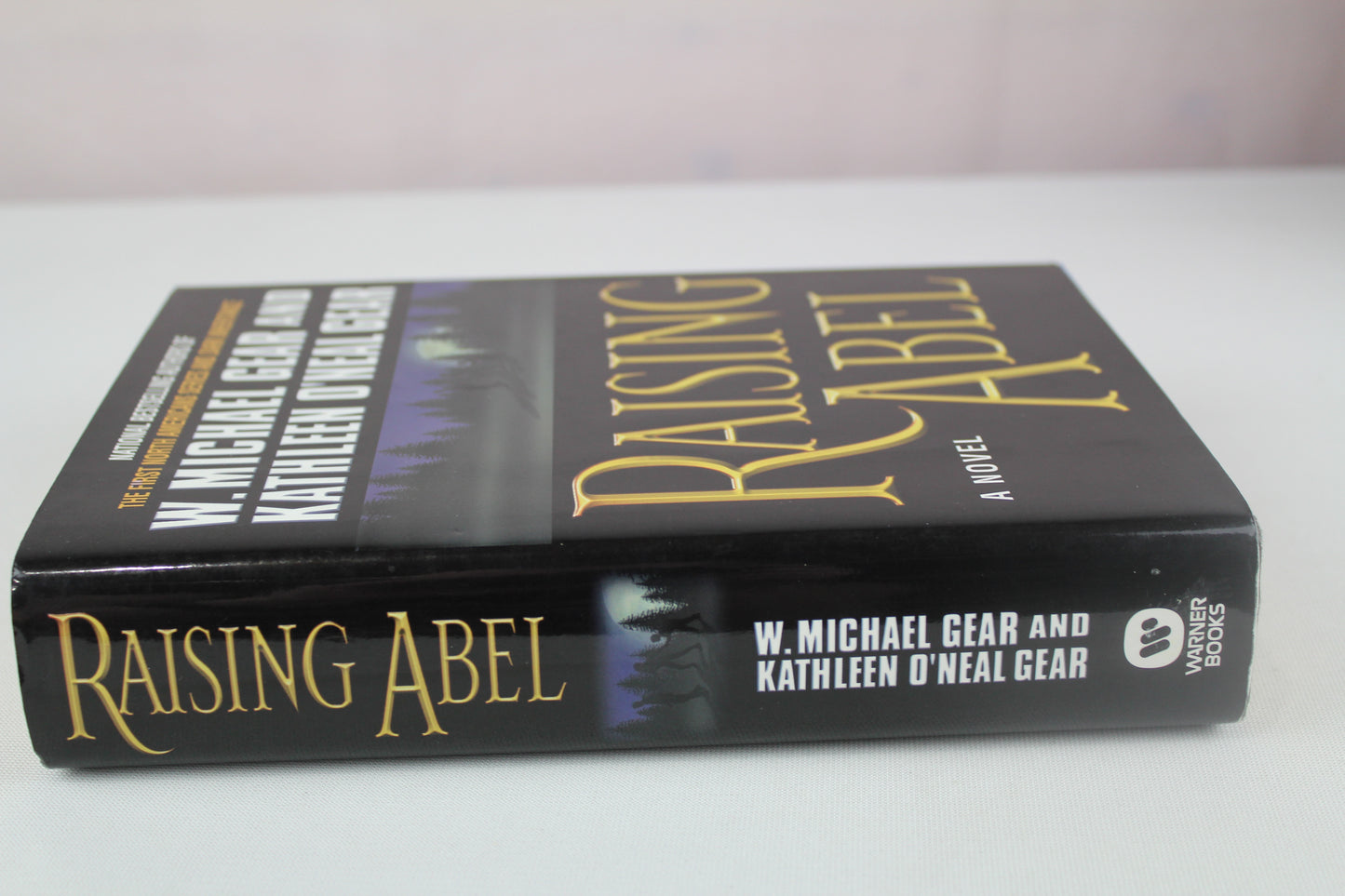 Raising Abel by W. Michael Gear, Kathleen O'Neal Gear