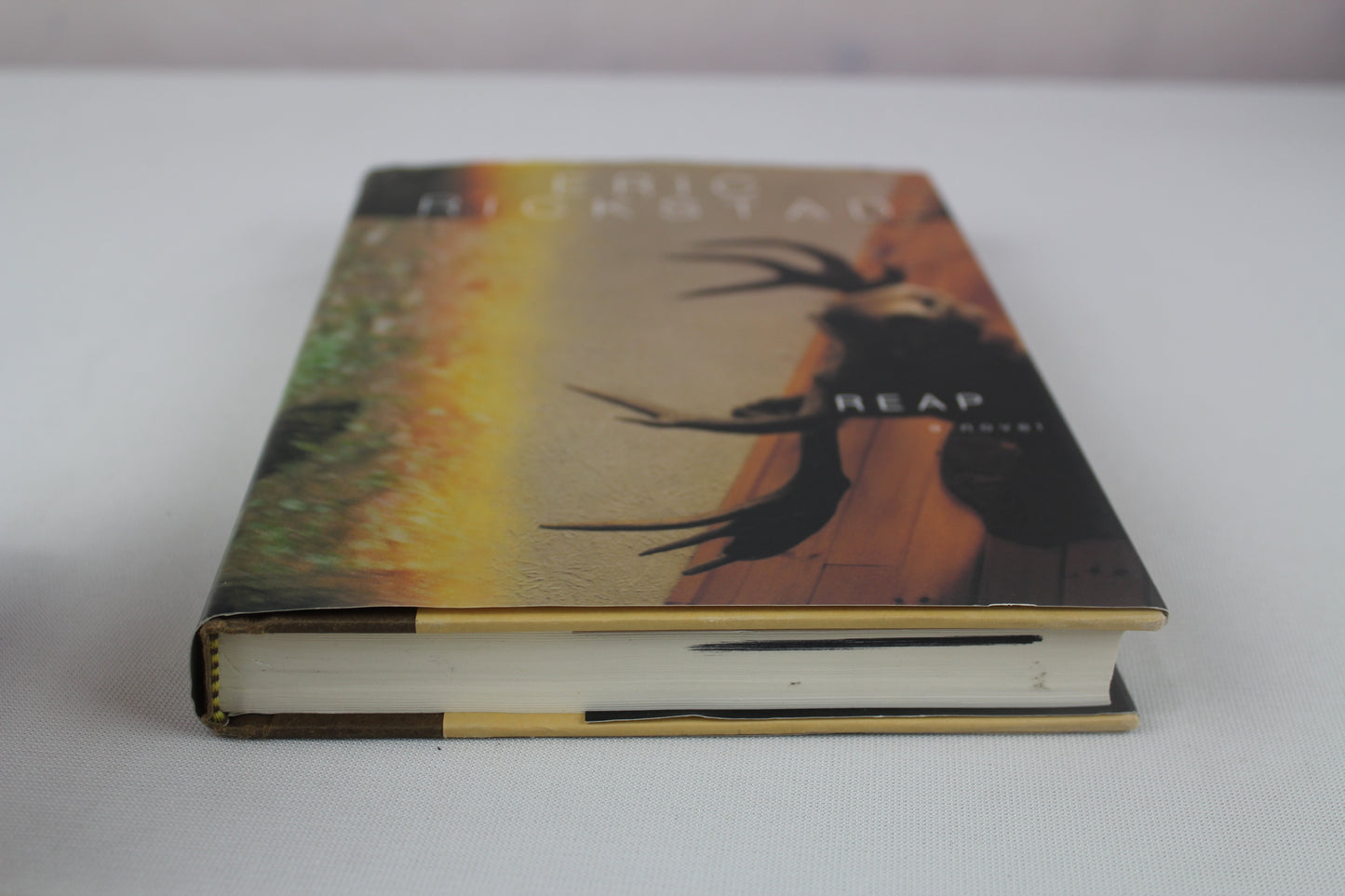 Reap by Eric Rickstad
