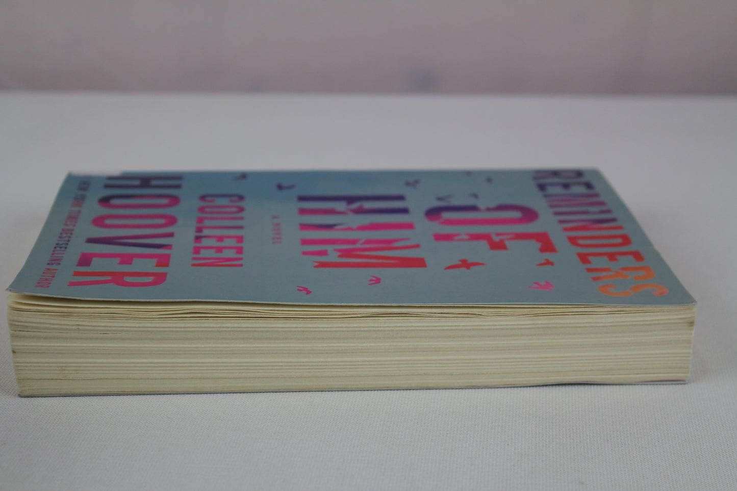 Reminders of Him: A Novel by Colleen Hoover