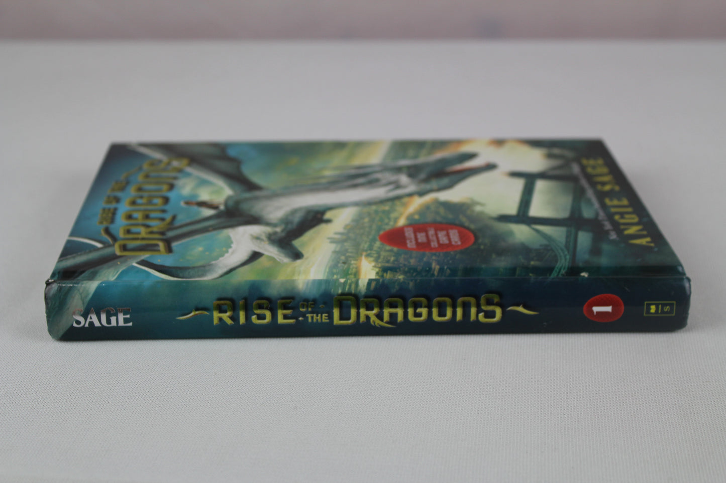 Rise of the Dragons (Rise of the Dragons, 1) by Angie Sage