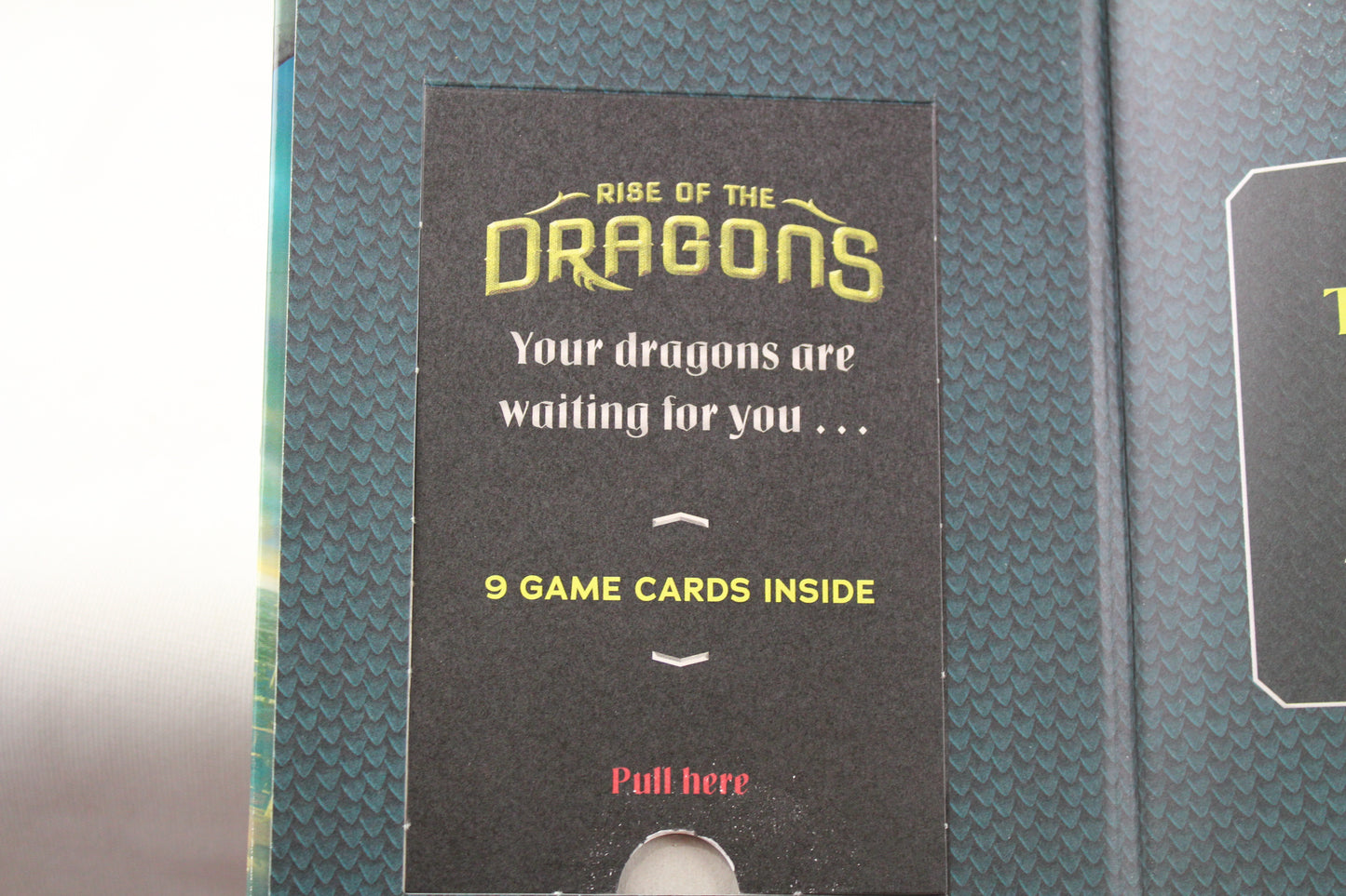 Rise of the Dragons (Rise of the Dragons, 1) by Angie Sage