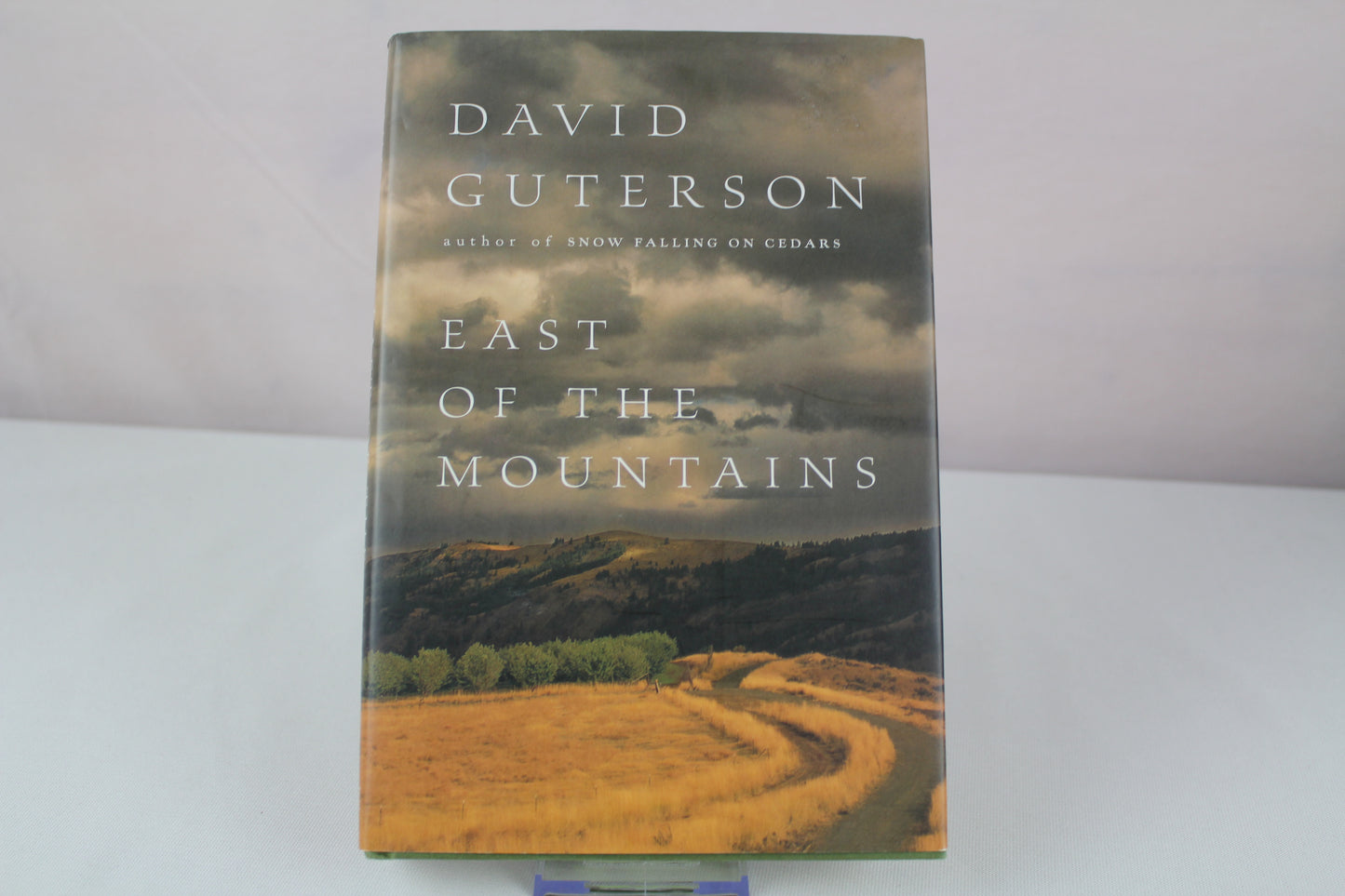 East of the Mountains by David Guterson
