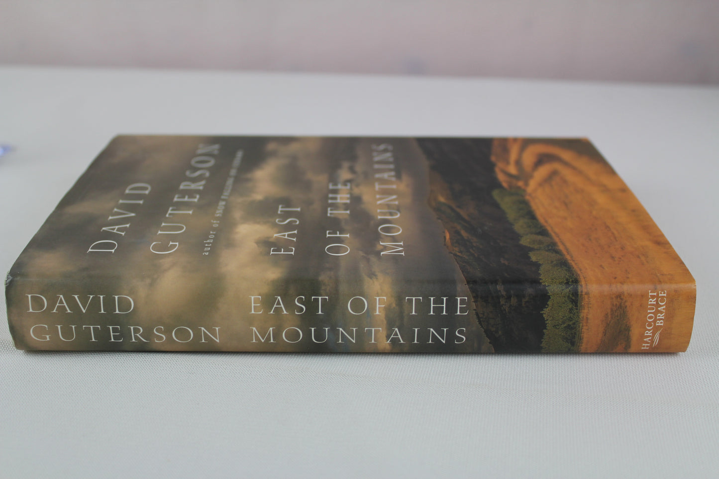 East of the Mountains by David Guterson