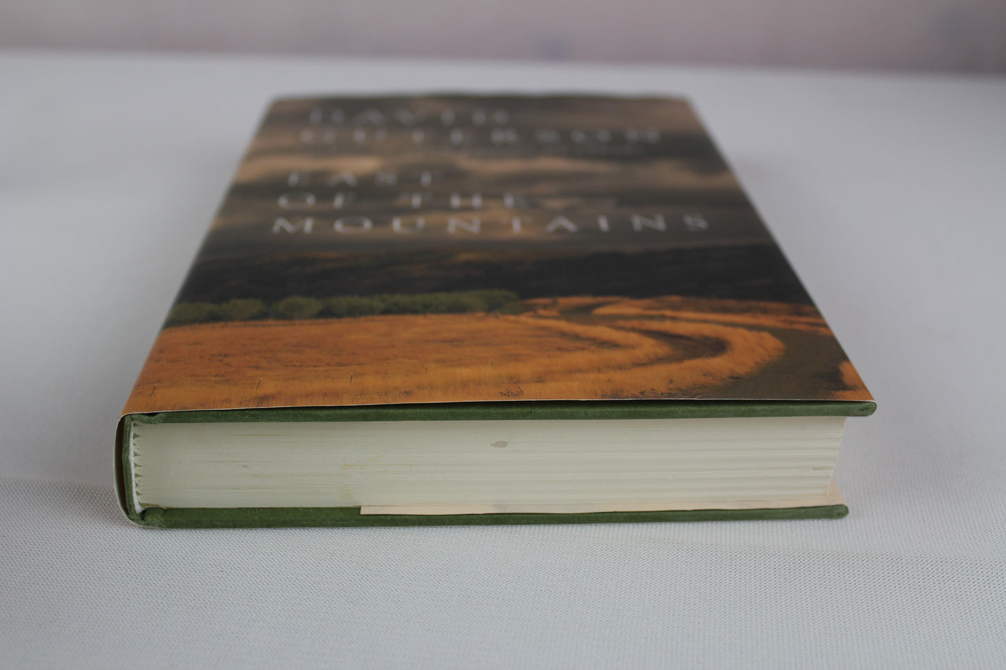 East of the Mountains by David Guterson