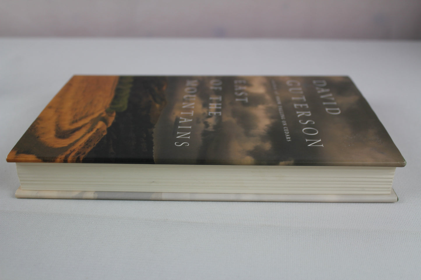 East of the Mountains by David Guterson