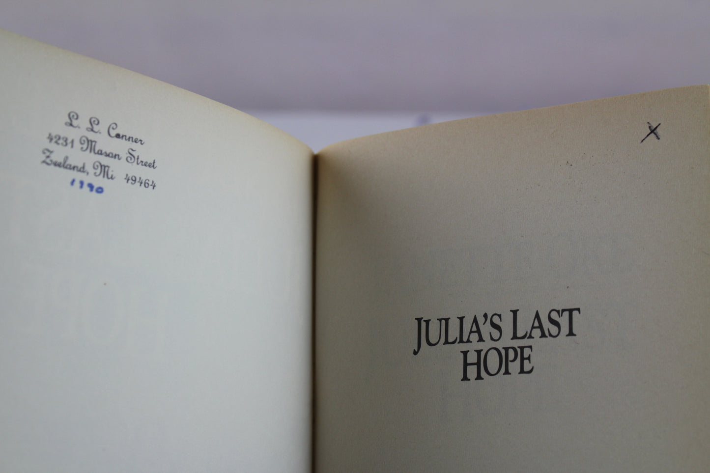 Julia's Last Hope (Women of the West Series) by Janette Oke