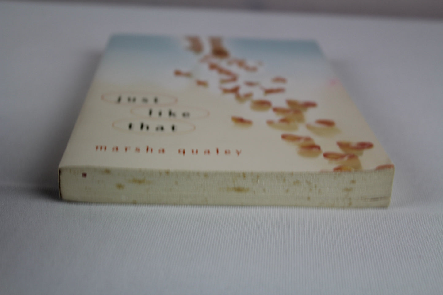 Just Like That by Marsha Qualey