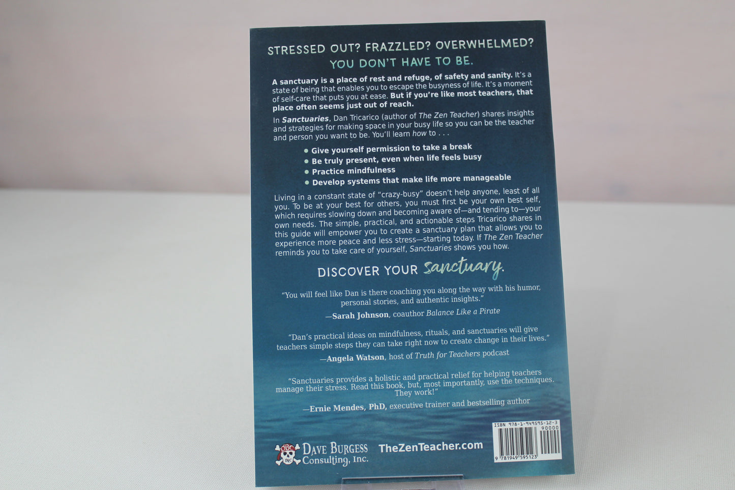 Sanctuaries: Self-Care Secrets for Stressed-Out Teachers by Daniel Tricarico