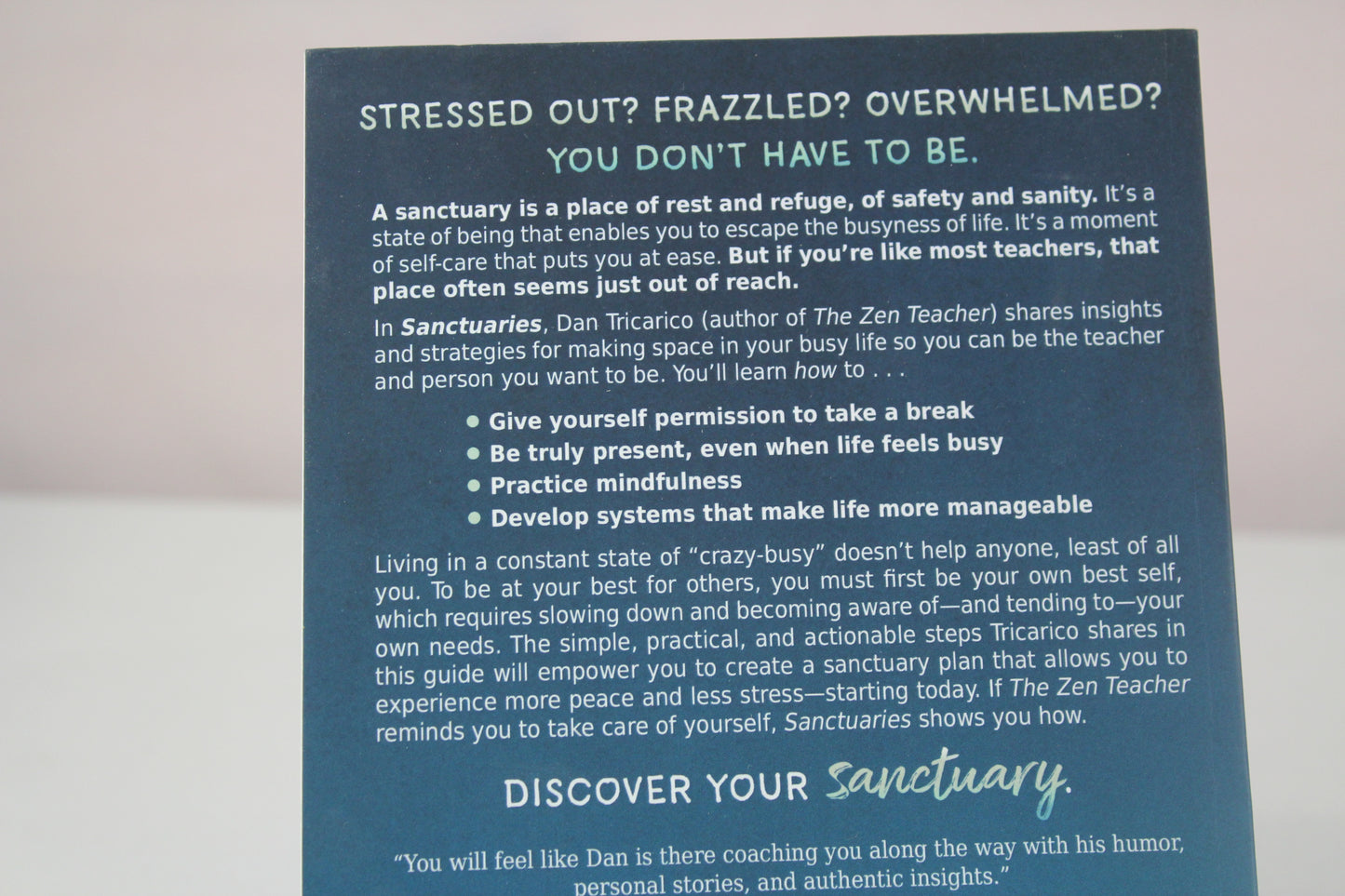 Sanctuaries: Self-Care Secrets for Stressed-Out Teachers by Daniel Tricarico