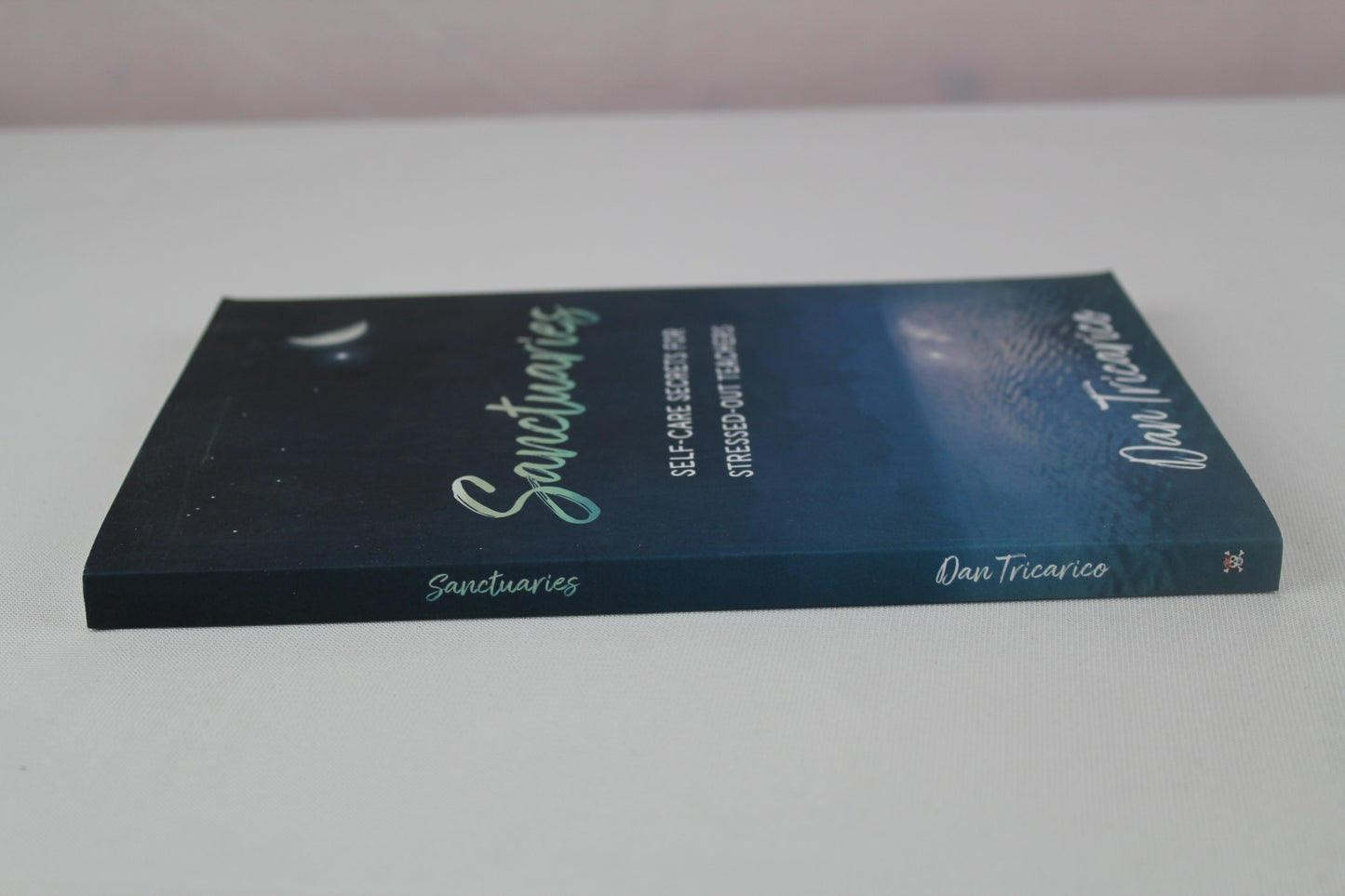 Sanctuaries: Self-Care Secrets for Stressed-Out Teachers by Daniel Tricarico