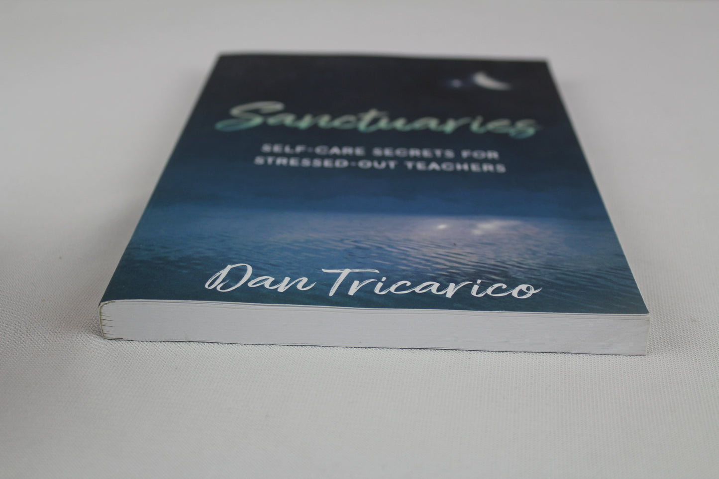 Sanctuaries: Self-Care Secrets for Stressed-Out Teachers by Daniel Tricarico