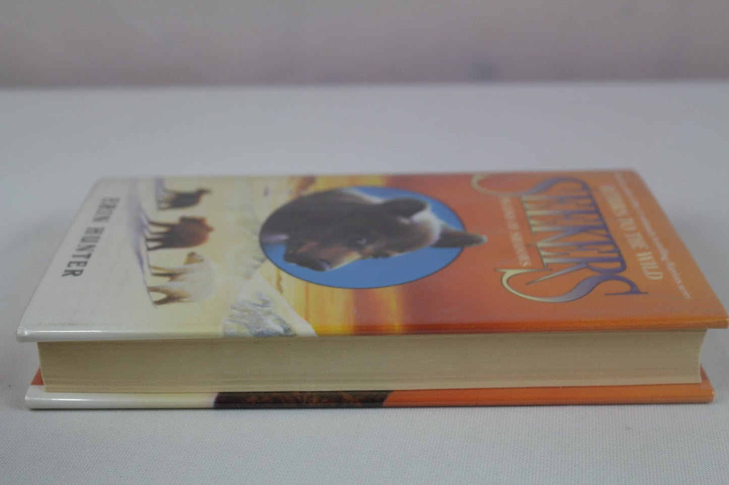 Island of Shadows: 1 by Erin Hunter